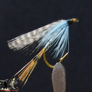 Holo z midge red