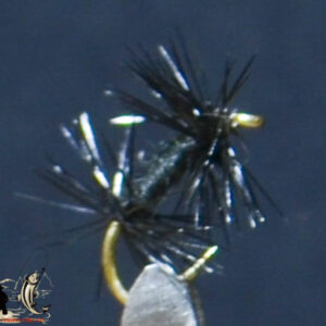 Fly606_4