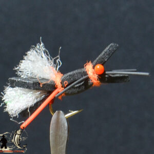 Fly606_413