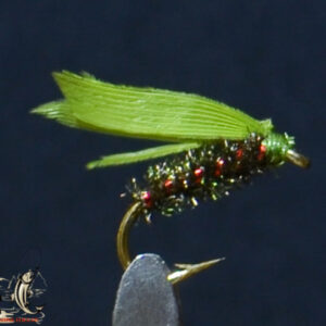 Fly606_464