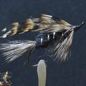 Fly606_503