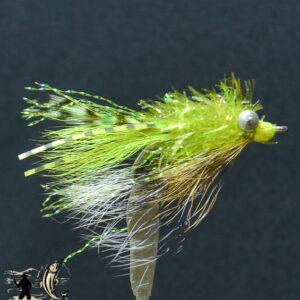 Fly606_509