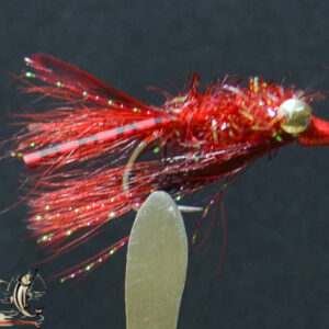 Fly606_527