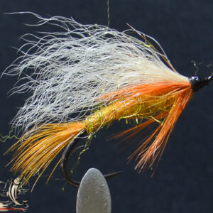Fly606_569