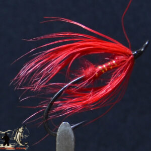 Fly606_593
