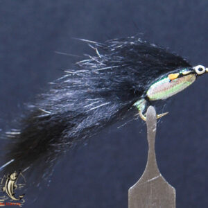 Fly606_8