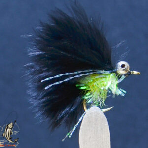 Fly606_89