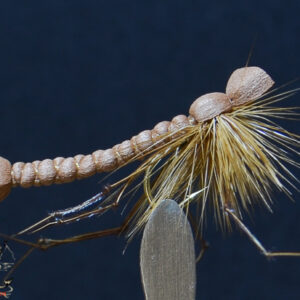 Fly606_98